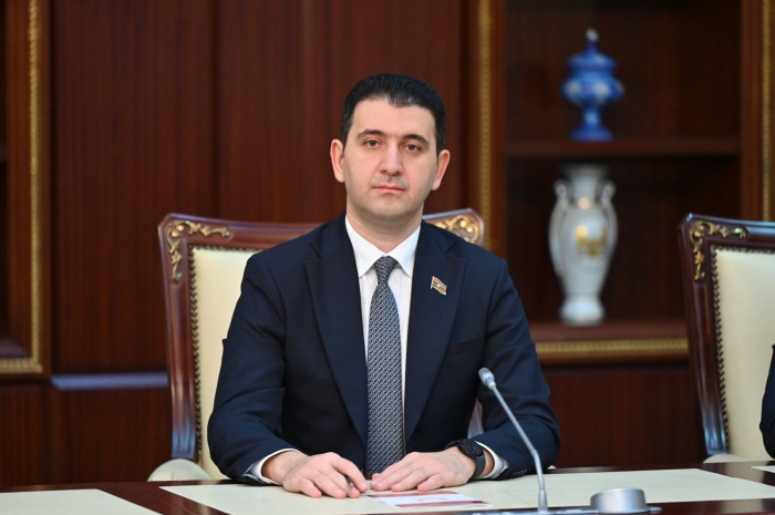 Vətəndaş kol-kosu təmizləməyə çalışanda müxtəlif cərimələrlə üzləşir' - Deputat