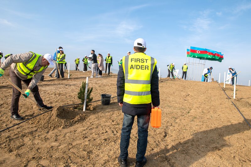 SOCAR Midstream' ağacəkmə aksiyası keçirdi - FOTOLAR