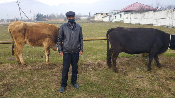 Oğuz və Qəbələdə şəhid ailələri və qazilər üçün təsərrüfatlar yaradıldı - FOTO