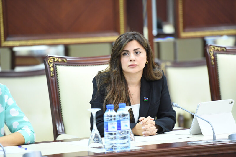 Deputatlar süni intellektdən necə istifadə edir? - SORĞU