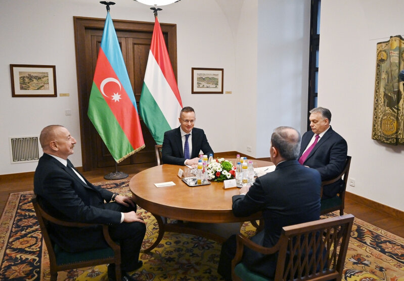 Prezident Macarıstanın Baş naziri ilə məhdud tərkibdə görüşü olub - FOTO