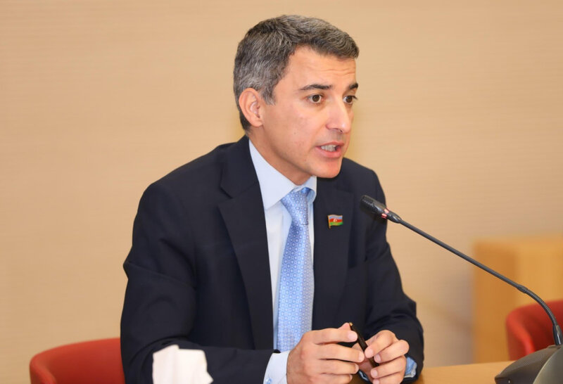 Avropanın enerji təhlükəsizliyi Gürcüstan-Azərbaycan əməkdaşlığı vasitəsilə təmin olunur