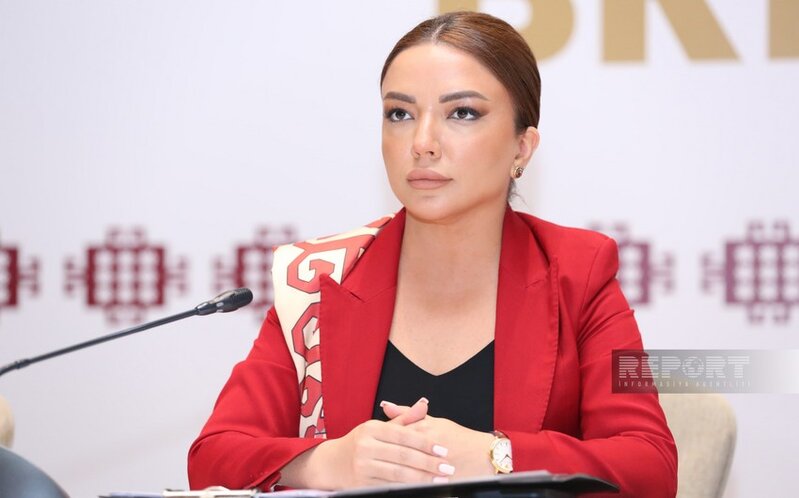 Aygün Əliyeva: QHT-lərin 