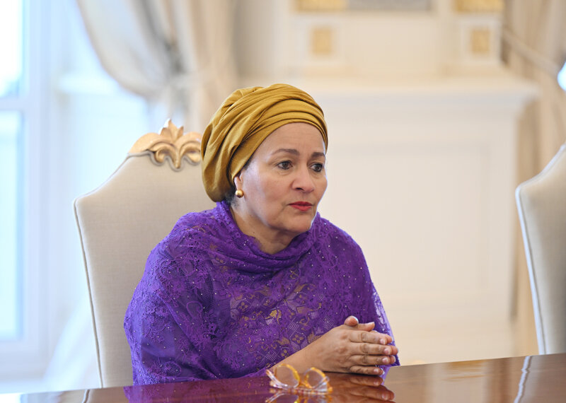 Prezident Quterreşin müavinini qəbul etdi - Fotolar