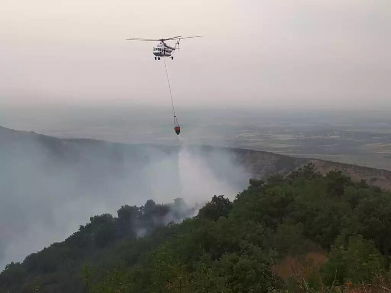 FHN Quba və Qəbələdə meşədə baş verən yanğınlarla bağlı məlumat yaydı