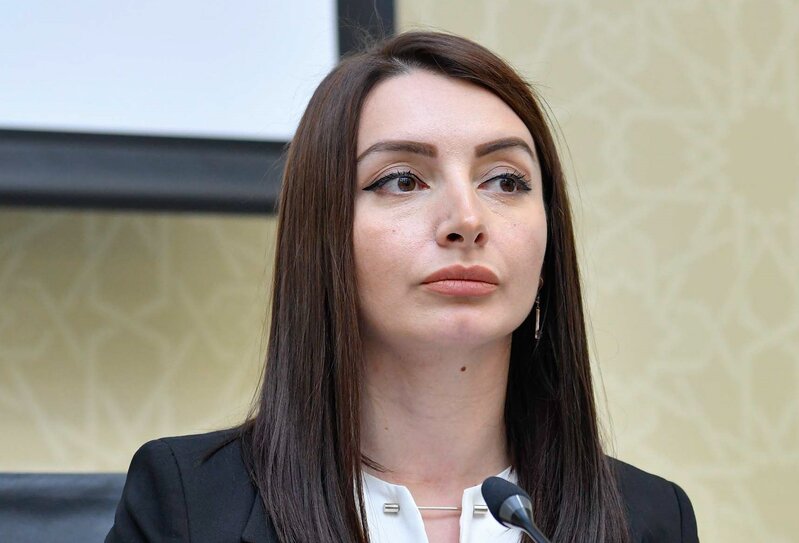 Azərbaycan və Fransa arasında münasibətlər... - Leyla Abdullayeva AÇIQLADI