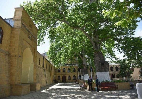 Dərbənddə Cümə məscidinin həyətində böyüyən qədim çinar "Rusiyada İlin Ağacı" seçilib