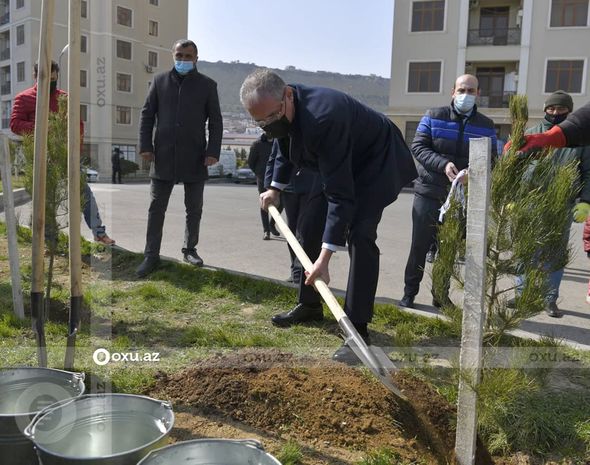 Nazir və agentlik sədri ağac əkdi - FOTO