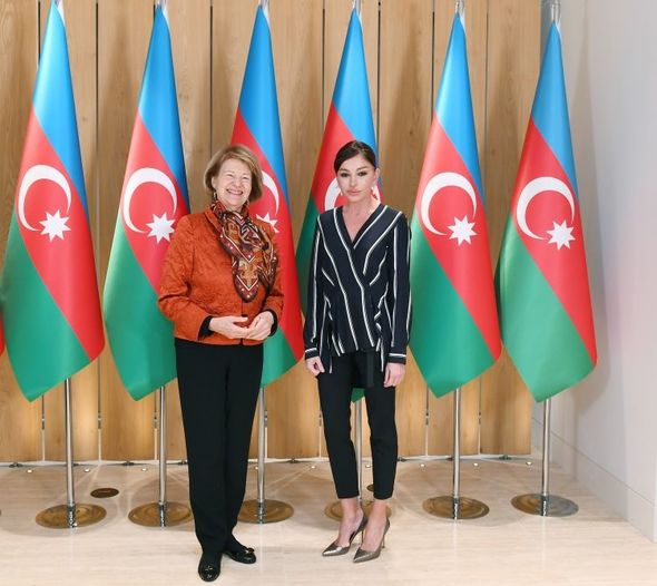 Mehriban Əliyeva Böyük Britaniya Baş nazirinin Azərbaycan üzrə ticarət elçisi ilə görüşüb - FOTO