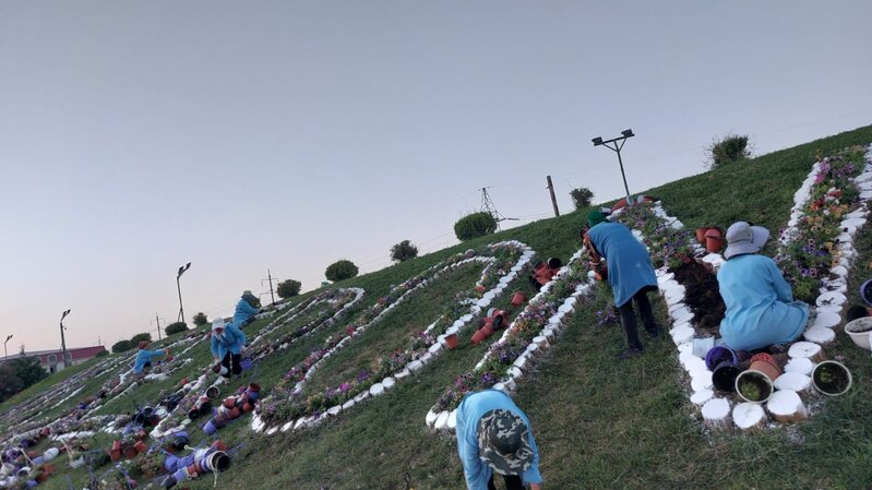 Abşeronda yaşıllaşdırma işləri davam edir - FOTOLAR