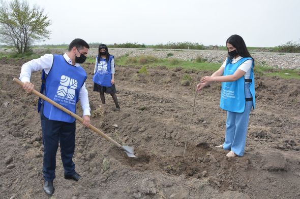 "​​​​​​​Yaşıl Marafon" çərçivəsində növbəti ağacəkmə aksiyaları keçirilib - FOTO