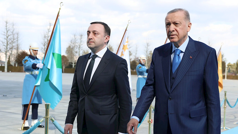 Ərdoğan Qaribaşvilini qəbul etdi - FOTO