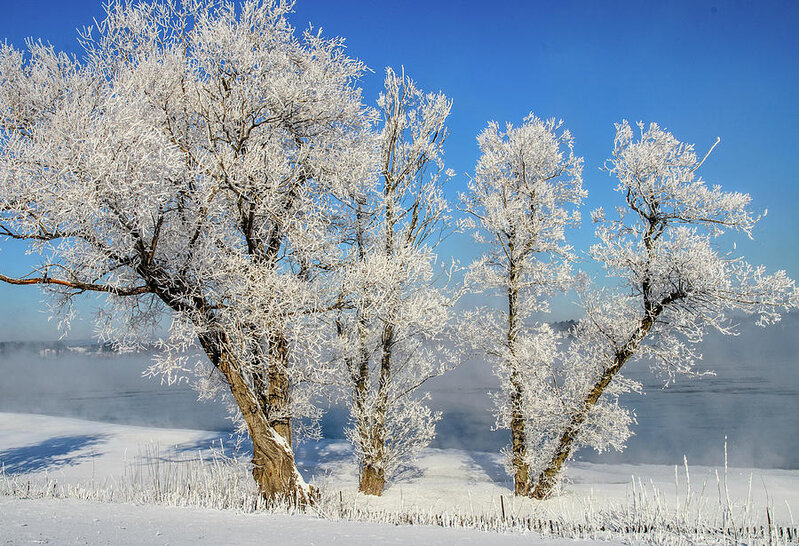 Sabah Azərbaycanda 18° şaxta olacaq