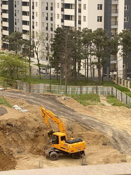 Bakıda ağacları kəsən MTK nümayəndəsi cərimələndi - FOTO