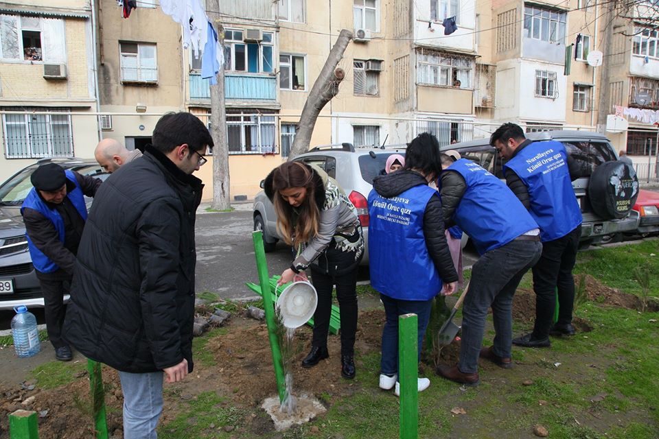 Könül Nurullayeva seçiciləri ilə birlikdə ağacəkmə aksiyası keçirib - FOTO 