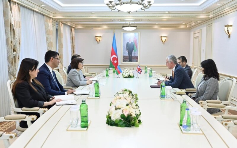 Milli Məclisin sədri Britaniya səfiri ilə görüşdü