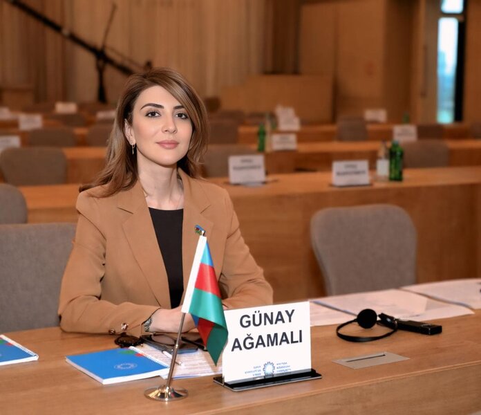 Ana dilinə hörmət milli ləyaqət məsələsidir' - Deputat