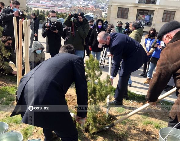Nazir və agentlik sədri ağac əkdi - FOTO