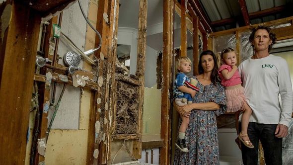 Qarışqalar malikanəni yeyib məhv etdilər – FOTO/VİDEO