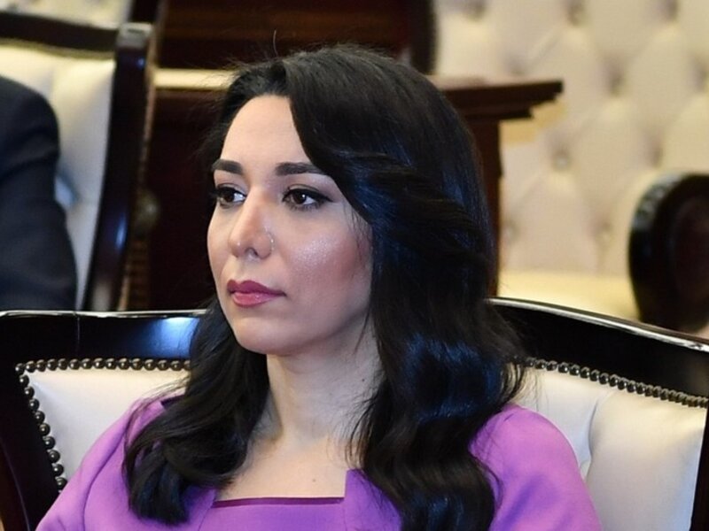Ombudsman erməni terrorçunun Şuşada Azərbaycan hərbçilərinə qumbara atmasını pislədi