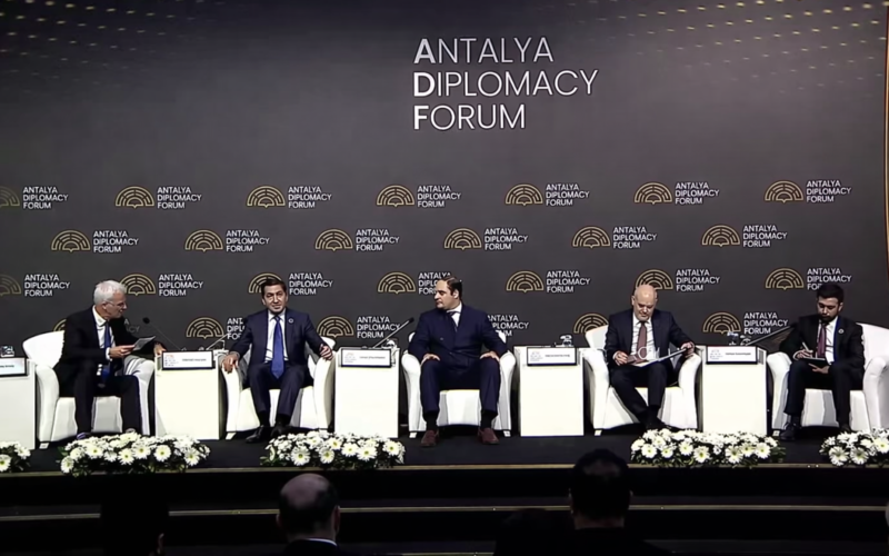 Cənubi Qafqazda real sülh mövcuddur - Prezidentin köməkçisi