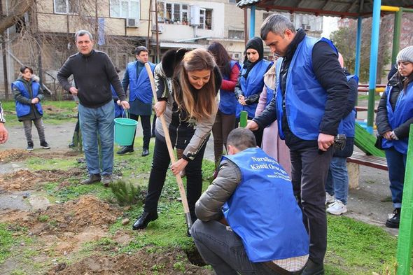 Könül Nurullayeva seçiciləri ilə birlikdə ağacəkmə aksiyası keçirib - FOTO