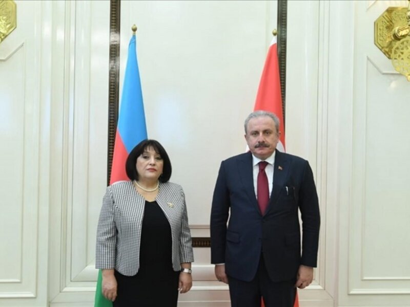 Milli Məclisin sədri türkiyəli həmkarına başsağlığı verib