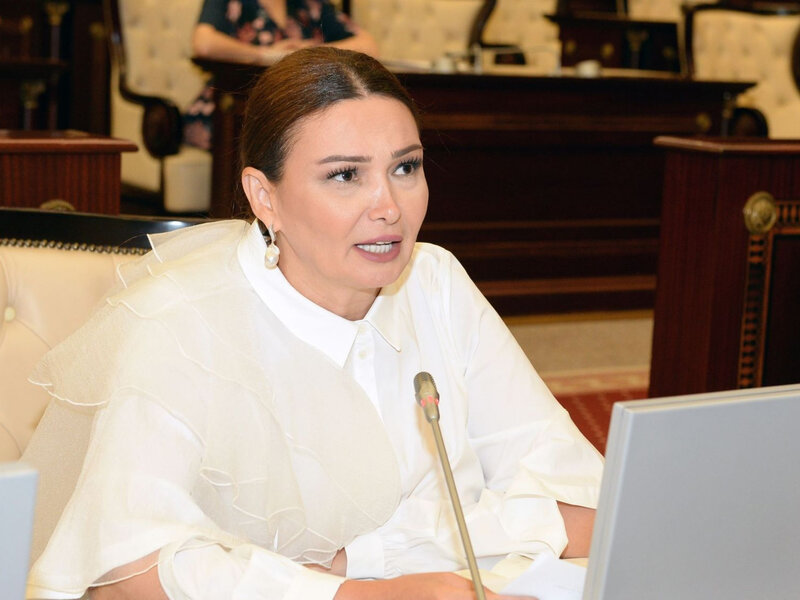 Qənirə Paşayeva: 'Axı bizim daxili turizmimiz niyə belə baha olmalıdır ki?
