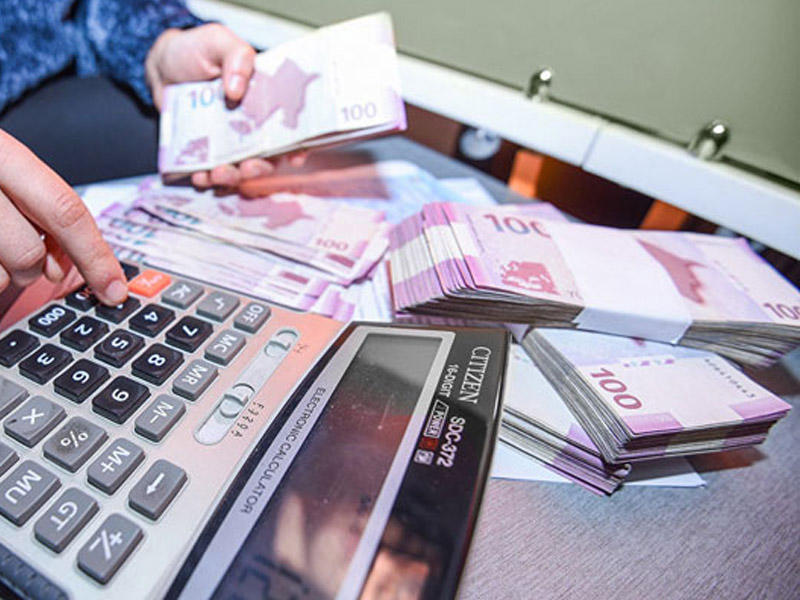 Maliyyə dəstəyi proqramına müraciət edən fərdi sahibkarların SAYI açıqlandı