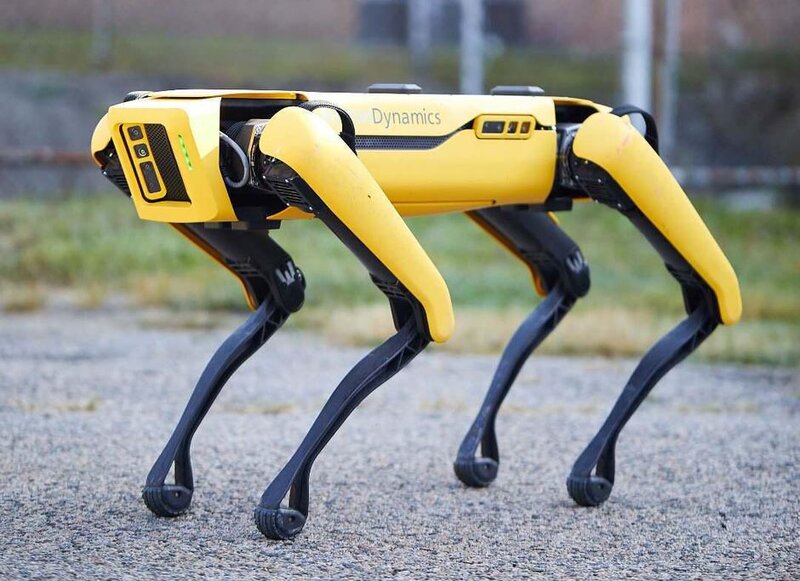 Robotun məharəti hər kəsi heyran etdi - VİDEO
