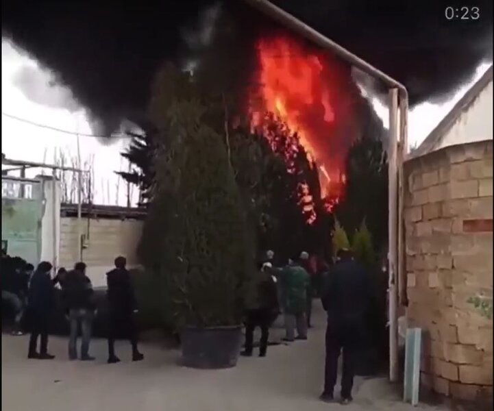 Bakıda satışda olan 108 ədəd ağac yanıb - VİDEO