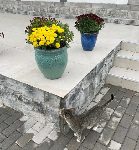 Prezidentin Ağalıdan maraqlı - FOTOLARI
