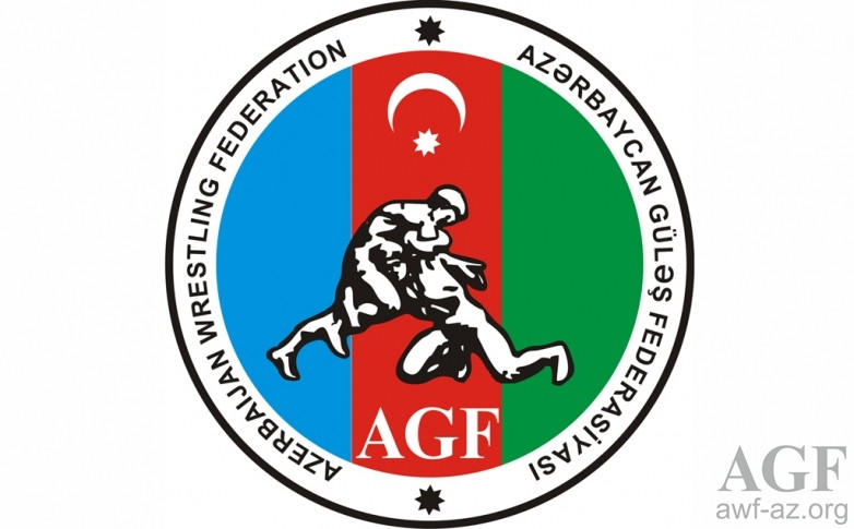 Əli Əliyev MMA üzrə Qran-Pri yarışının qalibi oldu
