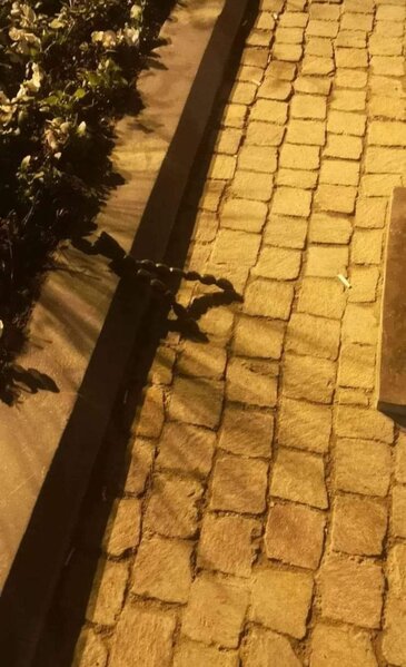 Tağıyevin yeni açılan heykəlini bu günə qoydular - FOTOFAKT