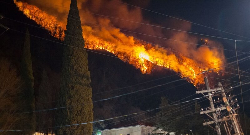 Çilidə meşə yanğınları nəticəsində iki nəfər öldü - 30 yaralı var