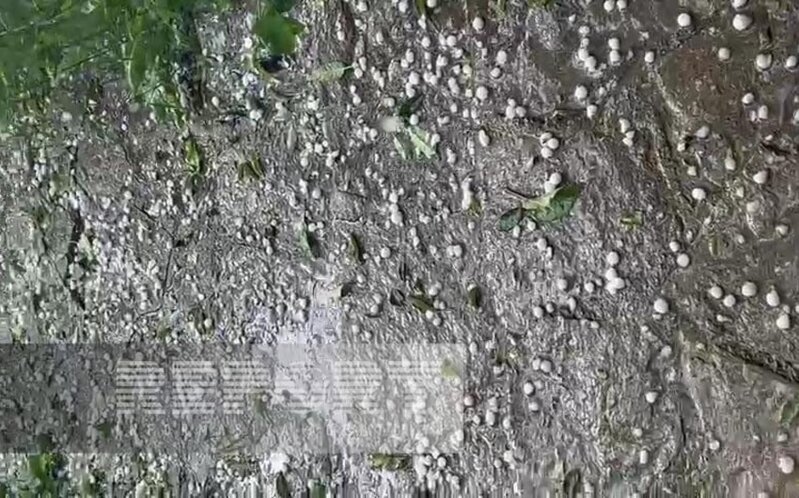 Qərb rayonlarının ucqar kəndlərinə dolu düşüb, təsərrüfata zərər dəyib
