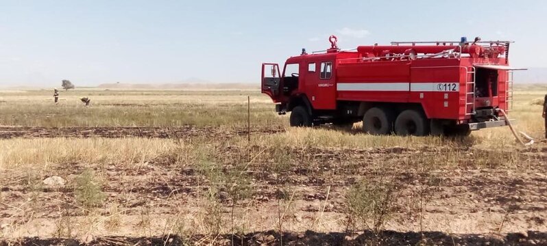 Naxçıvanda taxıl sahəsində yanğın oldu - FOTO