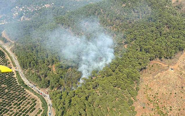 Muğlada meşə yanğını BAŞLADI