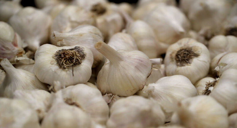 Gündə 2 diş: Ömrü 10 il uzada bilər