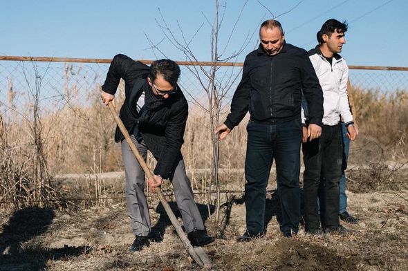 Ramin Məmmədov Sabirabadda ağacəkmə aksiyasında iştirak edib - FOTO