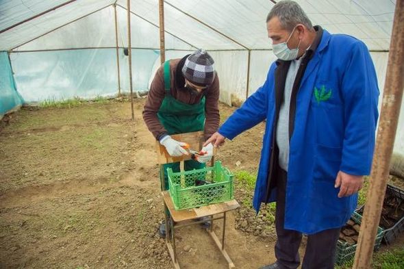 Lənkəranda "Gənc fermer" layihəsi yekunlaşıb - FOTO