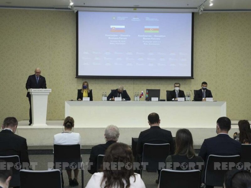 Nazir müavini: 'Azərbaycan xarici investorların azad edilmiş ərazilərə cəlbində maraqlıdır