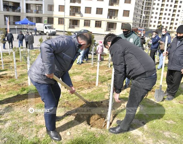 Nazir və agentlik sədri ağac əkdi - FOTO