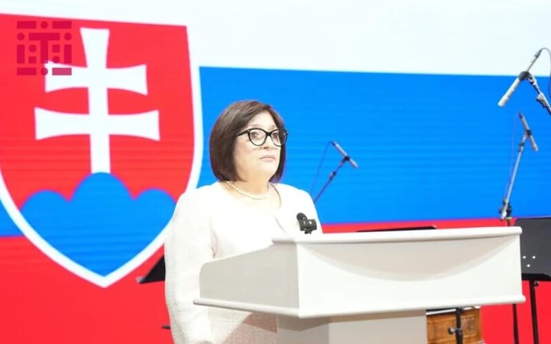 Azərbaycan-Slovakiya əlaqələri yüksək səviyyədə inkişaf edir - Sahibə Qafarova