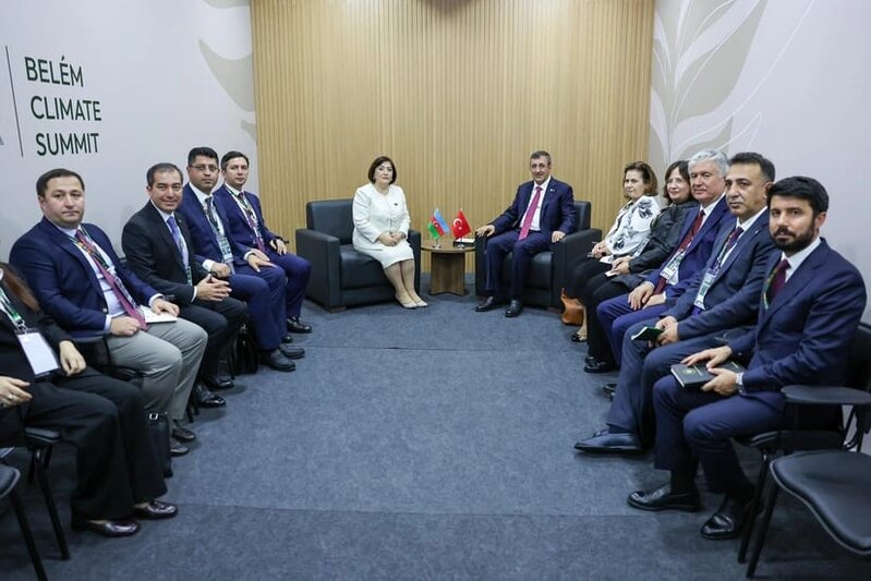 Sahibə Qafarova Türkiyənin vitse- prezidenti ilə COP29-un nailiyyətlərini müzakirə edib