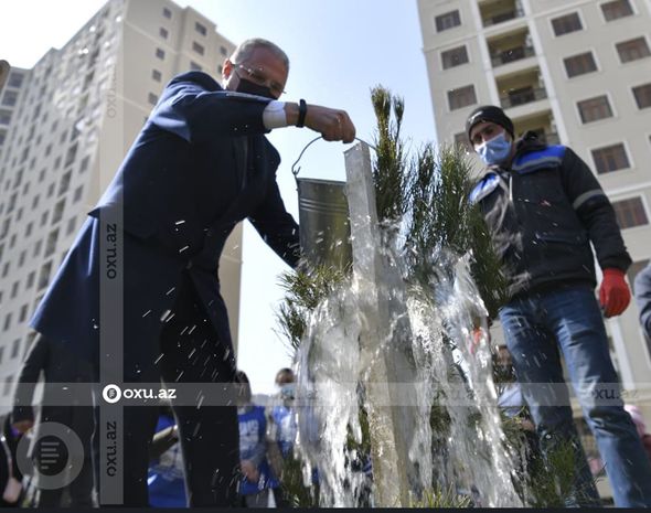 Nazir və agentlik sədri ağac əkdi - FOTO