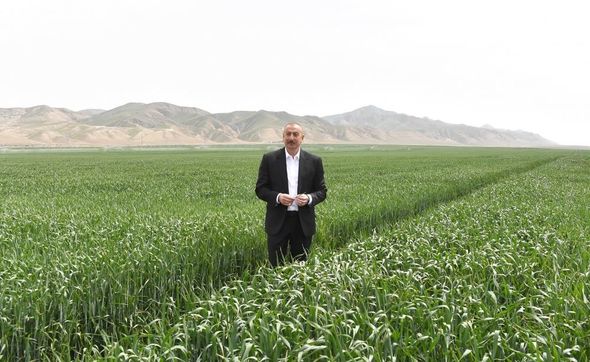 Hacıqabulda "Aqro Dairy" MMC-nin aqroparkının təqdimatı oldu - YENİLƏNİB+FOTO/VİDEO