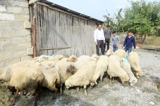 Ağdam və Bərdə rayonları üzrə özünüməşğulluq proqramı iştirakçıları da yeni təlimlərdə iştirak edə biləcək
