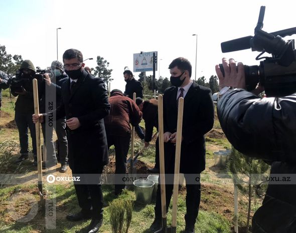 Nazir və agentlik sədri ağac əkdi - FOTO