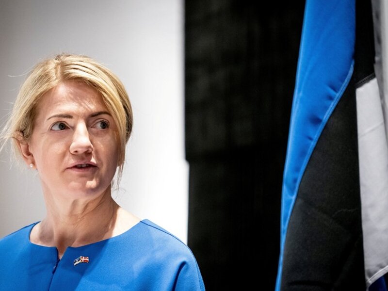 Estoniya XİN başçısı: 'Rusiyanın Ukrayna sərhədinə qoşun yığması bizi narahat edir